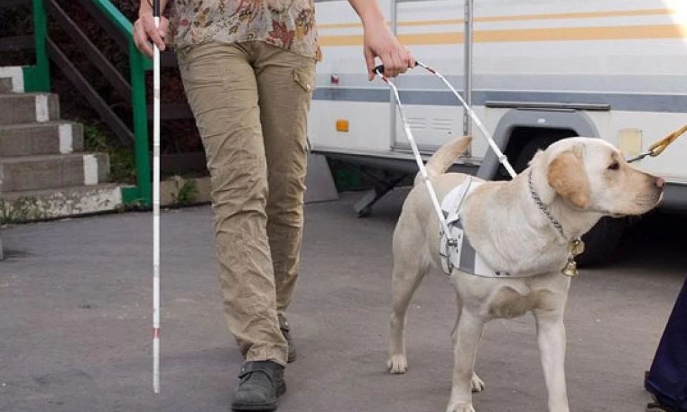 Άτομο με προβλήματα όρασης με σκύλο-οδηγό δέχτηκε επίθεση με κροτίδες
